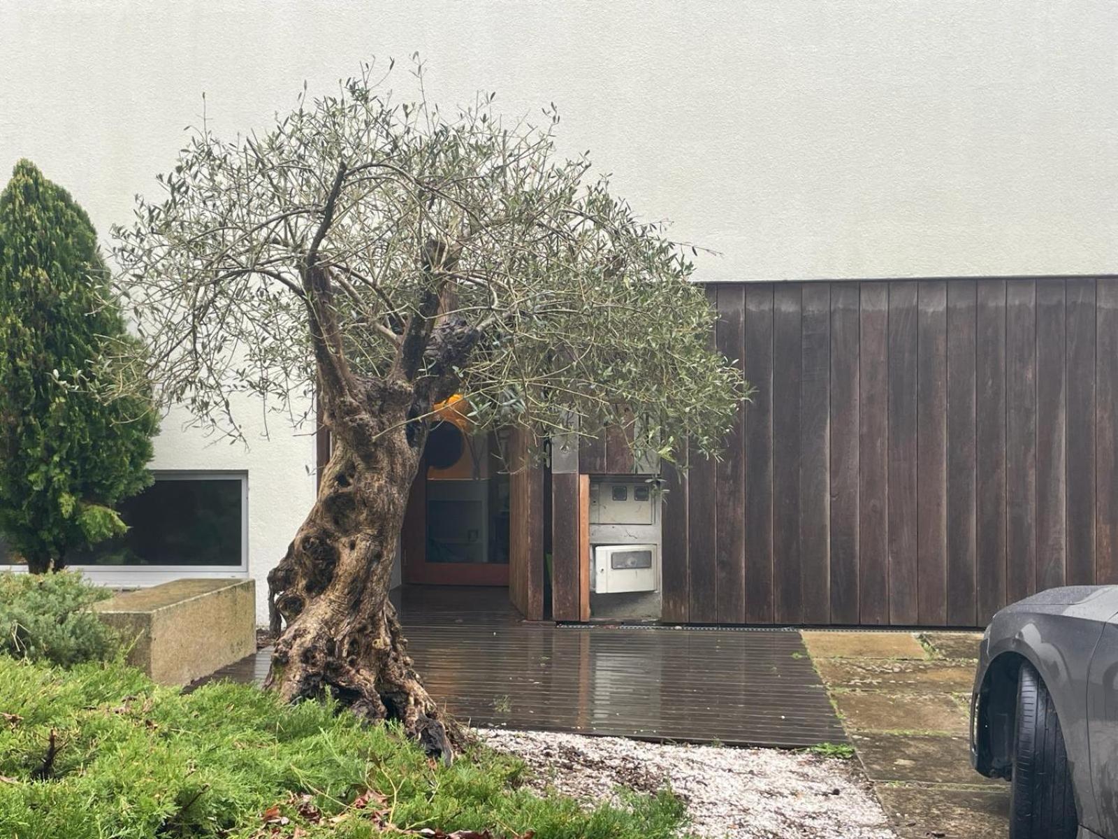 Gloria'S Design House Daire Santiago de Compostela Dış mekan fotoğraf